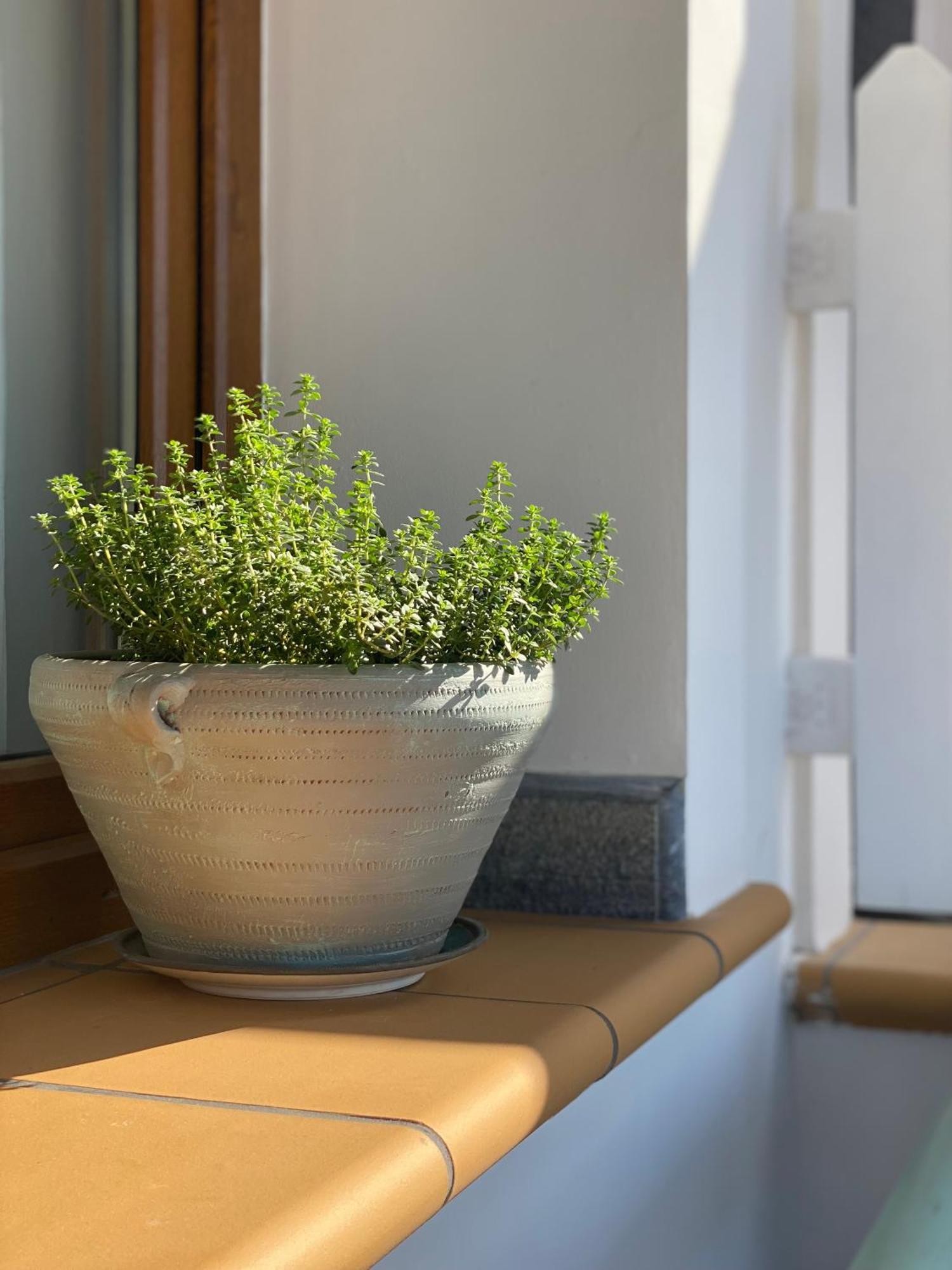 Beachfront House Pythagorion Екстериор снимка